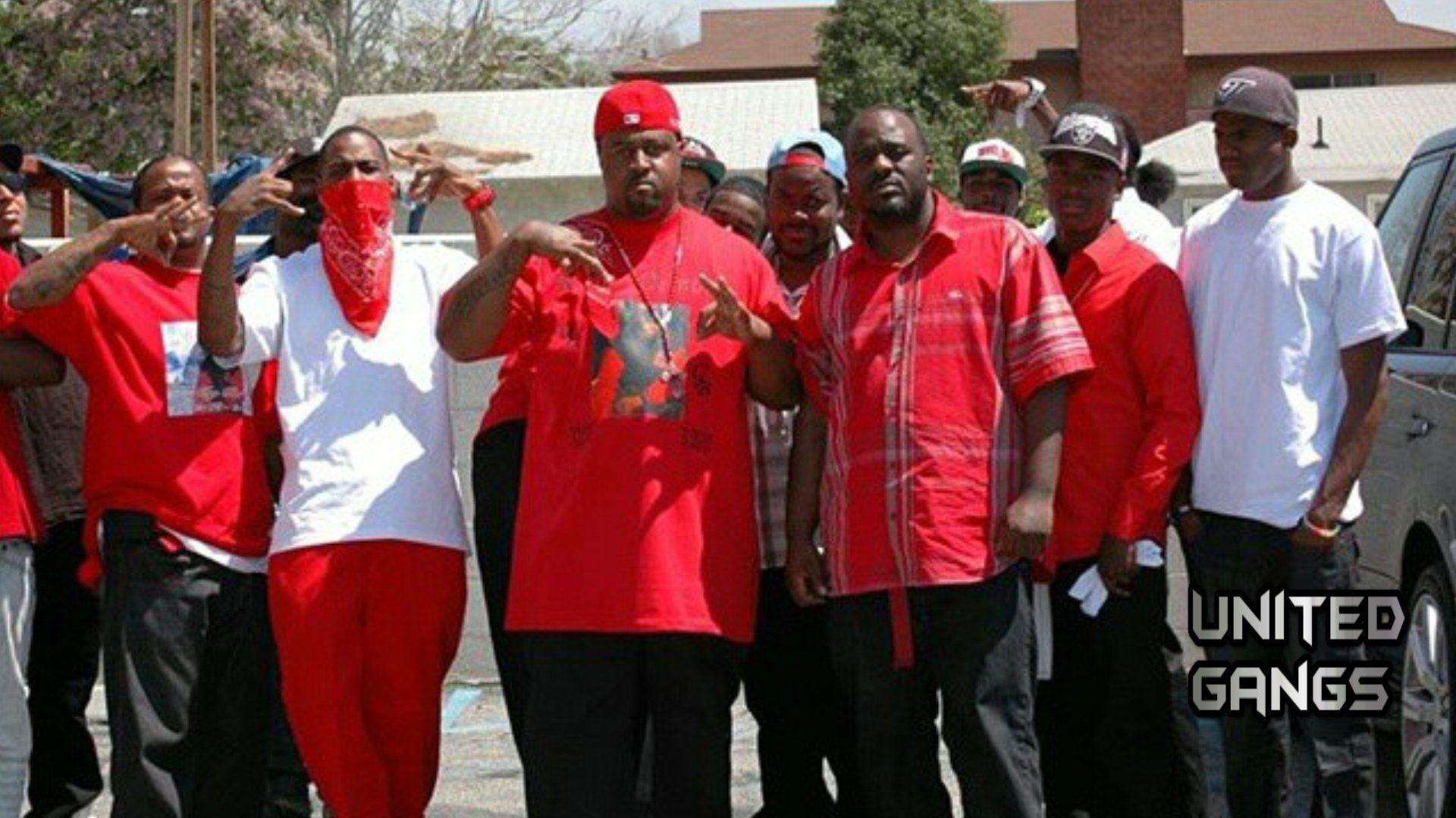 The bloods gang